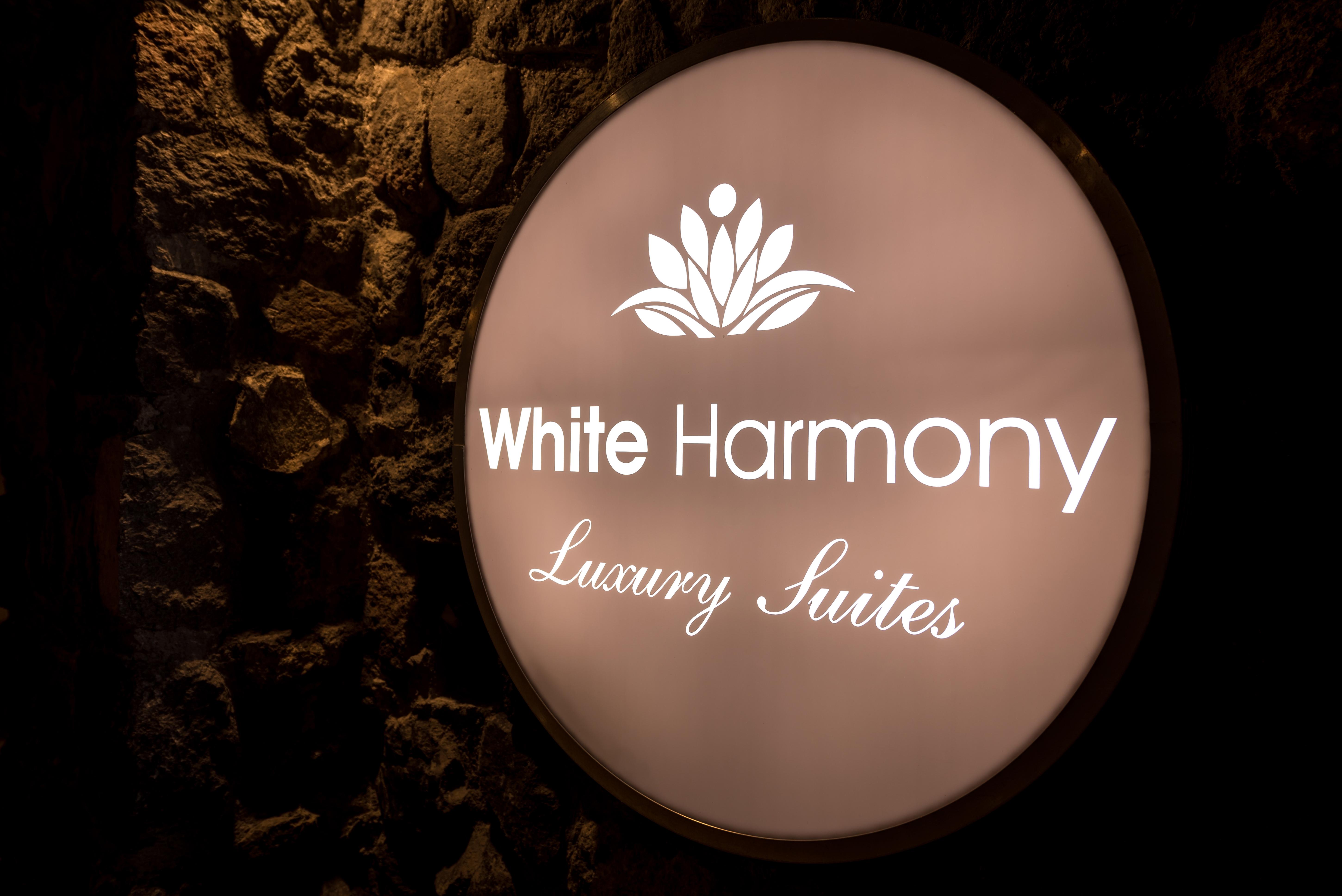 White Harmony Suites Megalochori  Dış mekan fotoğraf